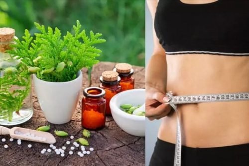 Weight loss & management _2